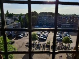beiaard-plus a 2025-07-04.jpg_1